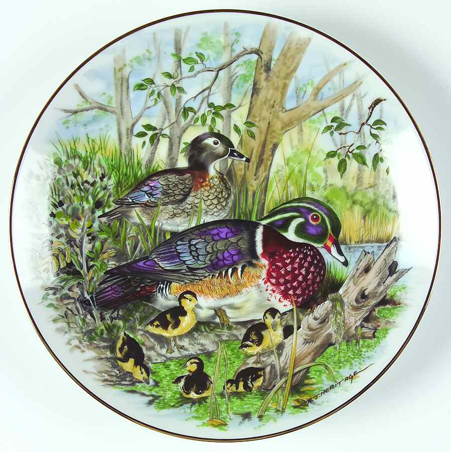Game Birds of The South Wood Duck - Boxed by Southern Living Gallery-1