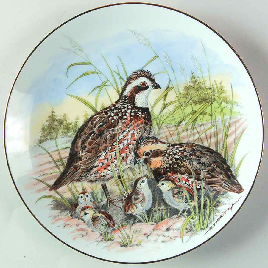 Game Birds of The South Bobwhite Quail - No Box by Southern Living Gallery-1