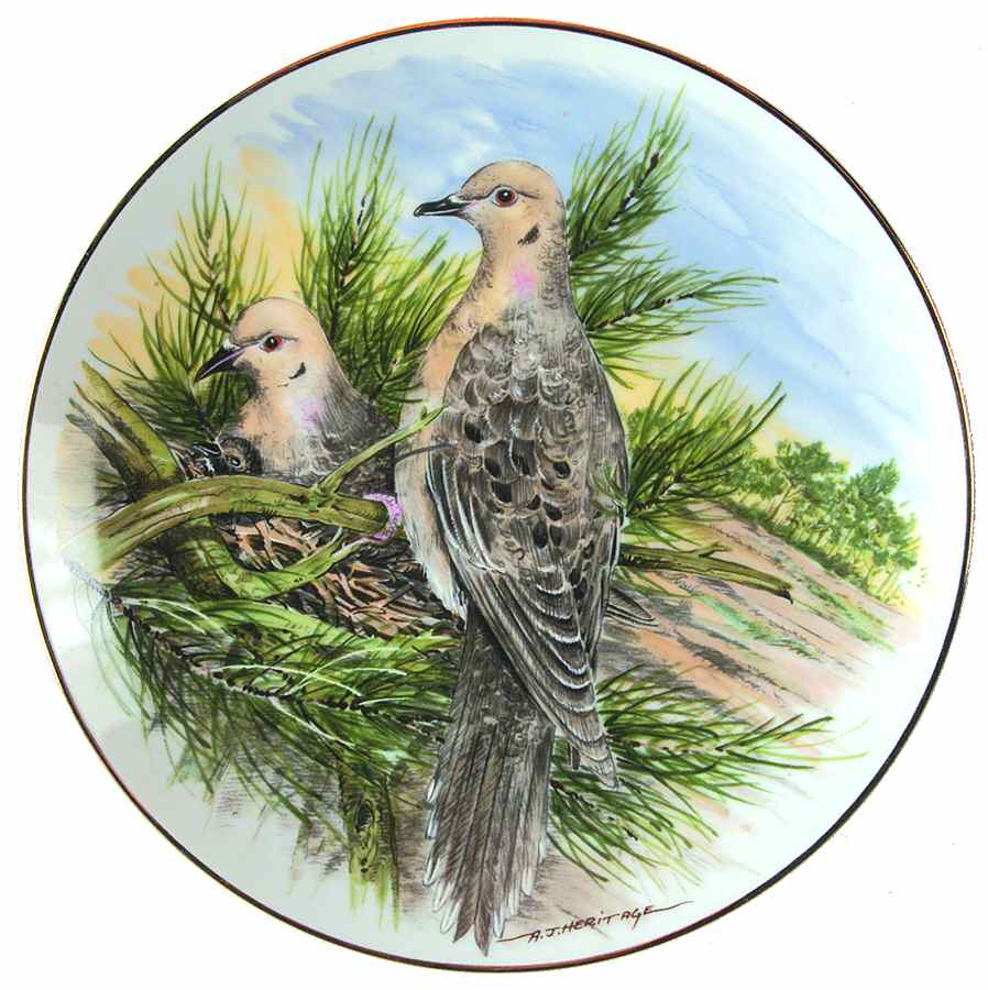Game Birds of The South Mourning Dove - No Box by Southern Living Gallery-1