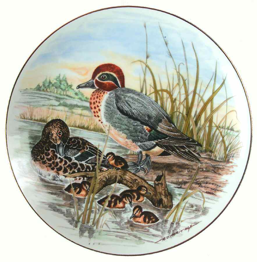 Game Birds of The South Green-Winged Teal - Boxed by Southern Living Gallery-1