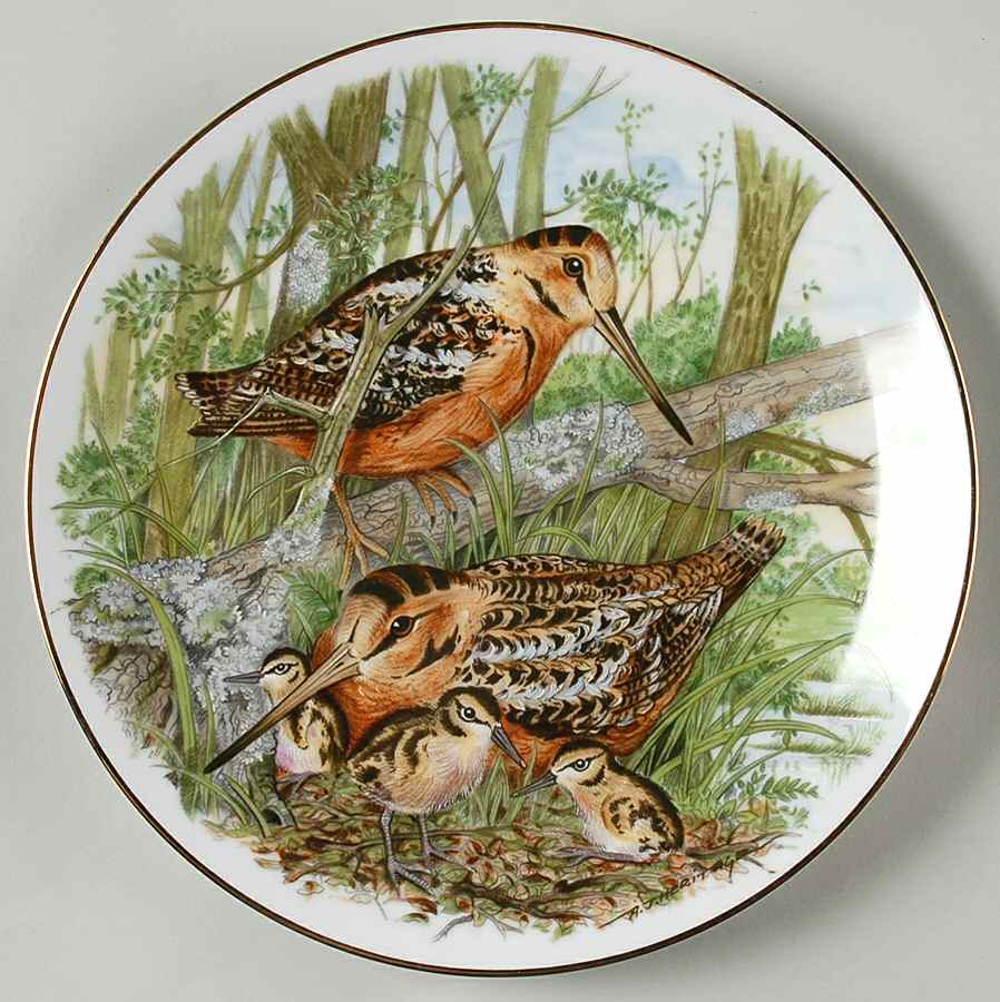 Game Birds of The South American Woodcock - No Box by Southern Living Gallery-1
