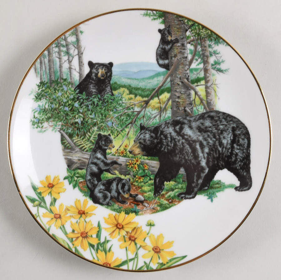 Southern Forest Families Black Bear - Boxed by Southern Living Gallery-1
