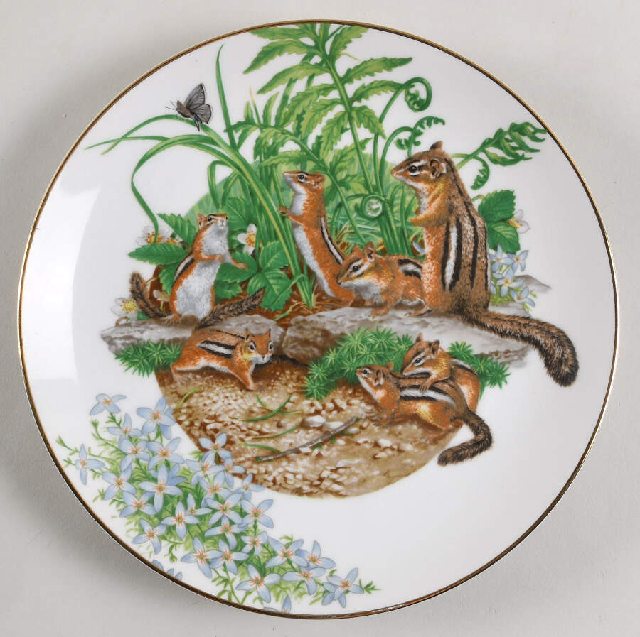 Southern Forest Families Chipmunk - Boxed by Southern Living Gallery-1