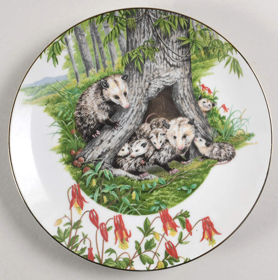 Southern Forest Families Opossum - Boxed by Southern Living Gallery-1