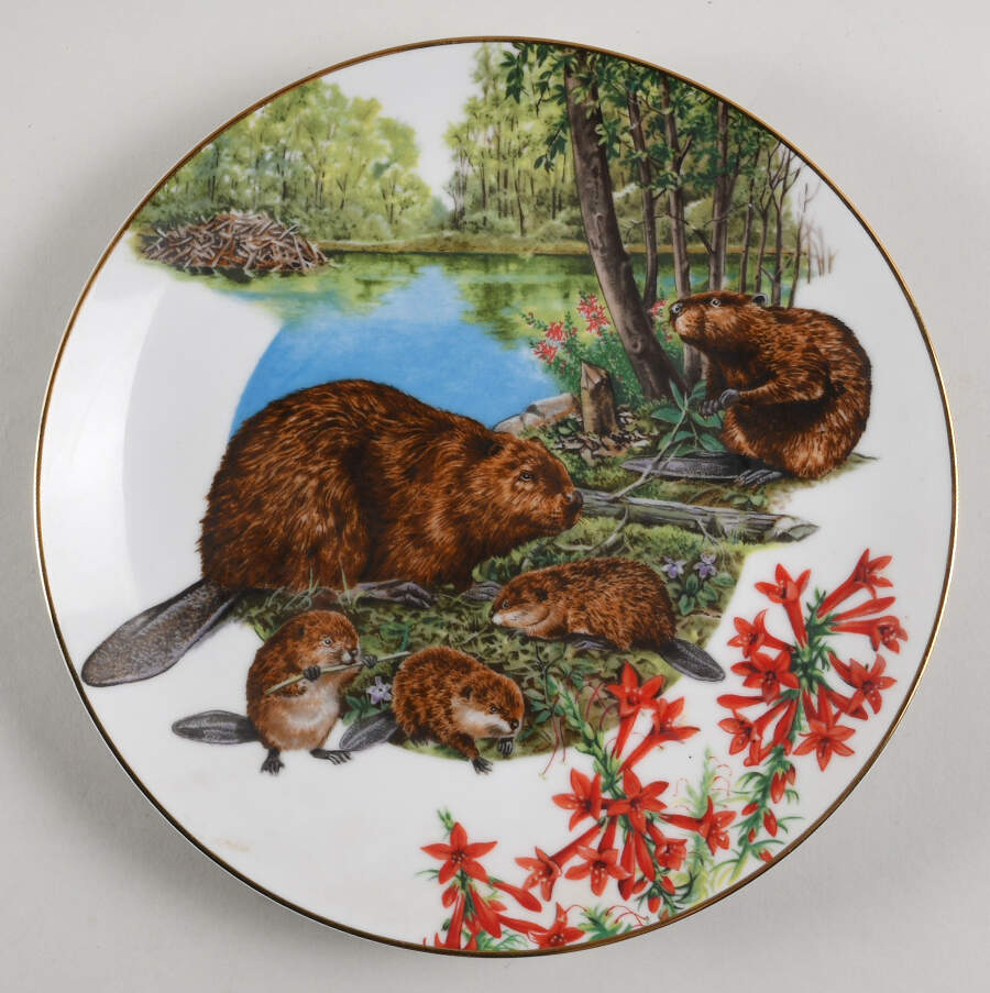 Southern Forest Families Beaver - No Box by Southern Living Gallery-1