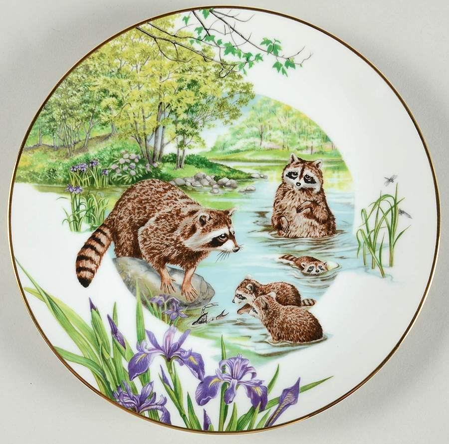 Southern Forest Families Raccoon - Boxed by Southern Living Gallery-1