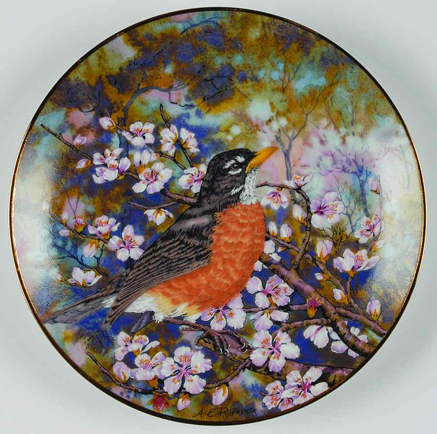 Songbirds of the South American Robin - Boxed by Southern Living Gallery-1