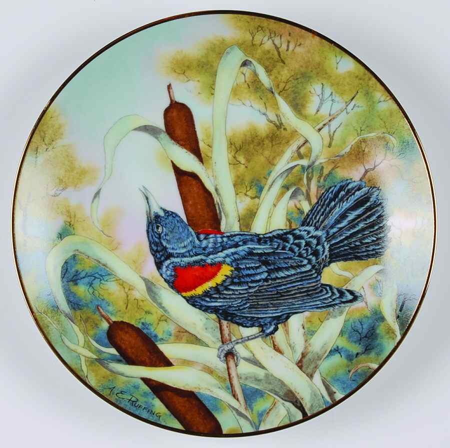 Songbirds of the South Red-Winged Blackbird - Boxed by Southern Living Gallery-1