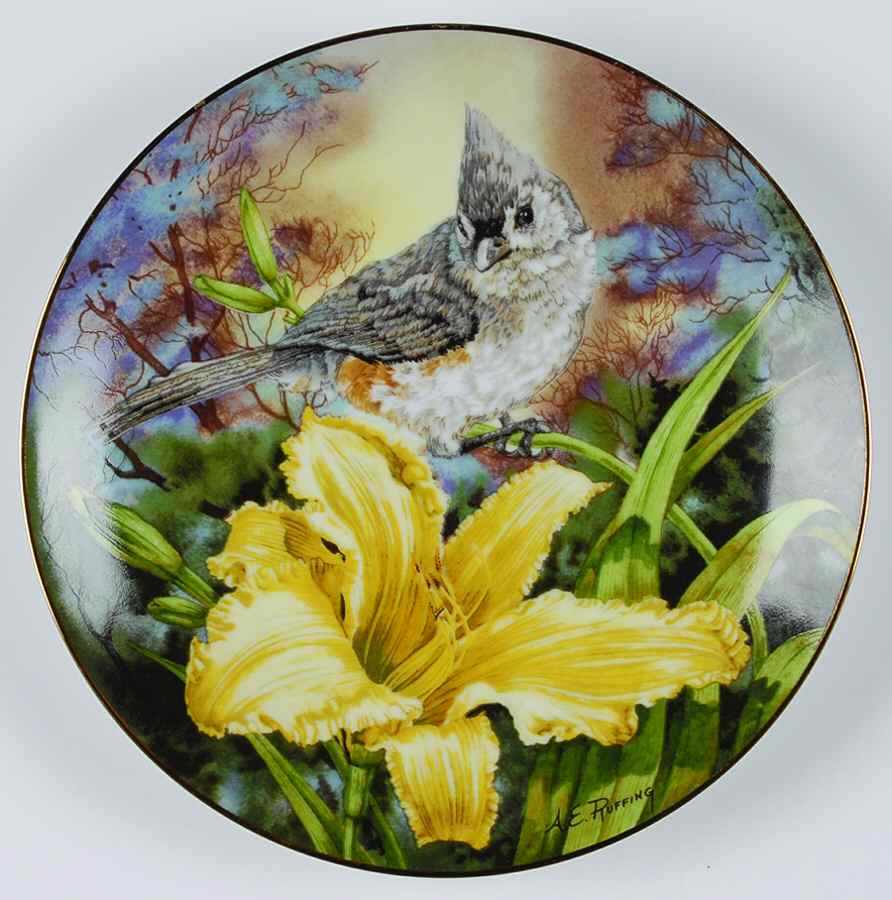 Songbirds of the South Tufted Titmouse - Boxed by Southern Living Gallery-1