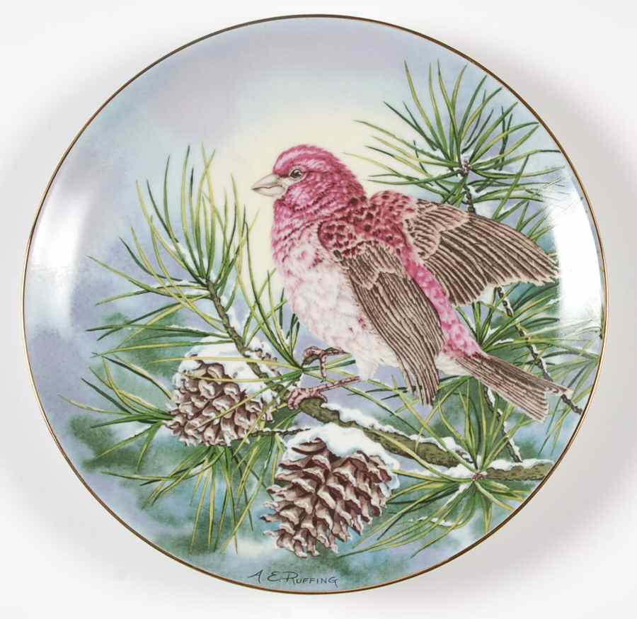 Songbirds of the South Purple Finch - Boxed by Southern Living Gallery-1