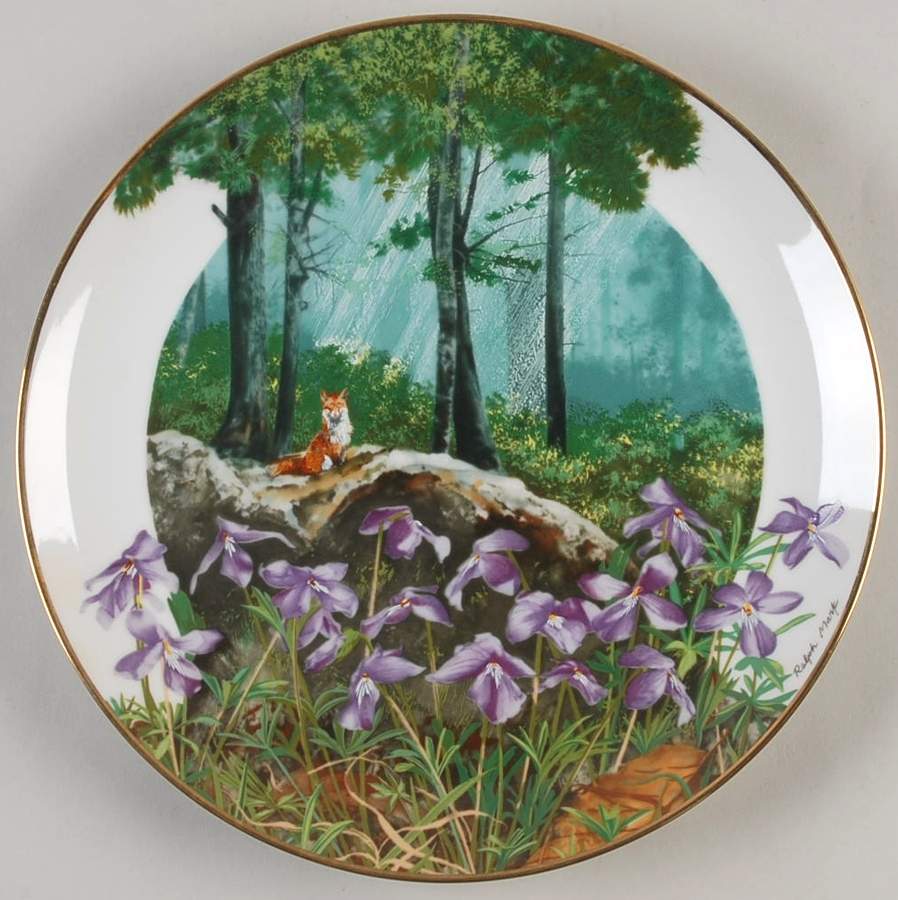 Wildflowers of The South Birdsfoot Violet - Boxed by Southern Living Gallery-1