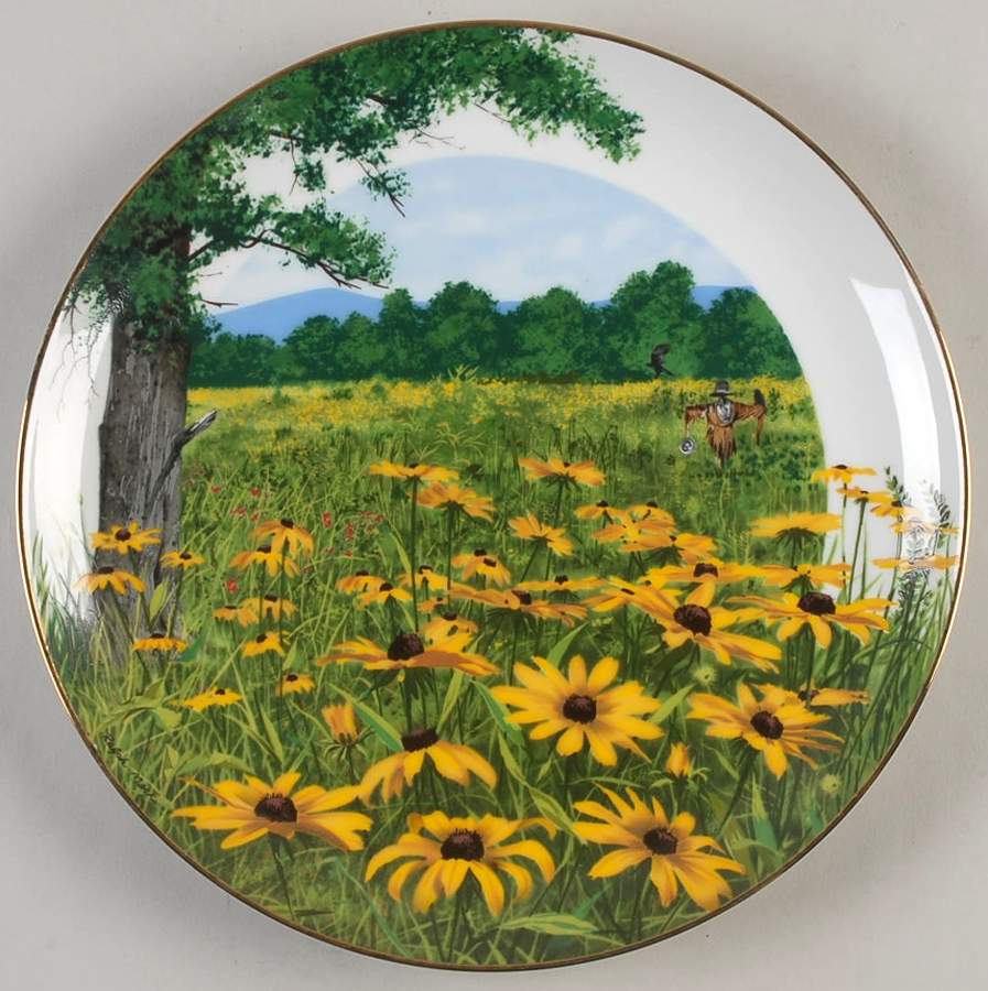 Wildflowers of The South Black-Eyed Susan - No Box by Southern Living Gallery-1