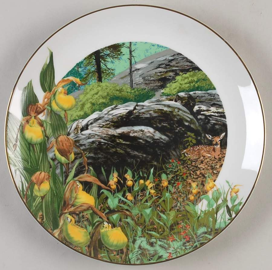 Wildflowers of The South Lady Slipper Orchid - Boxed by Southern Living Gallery-1