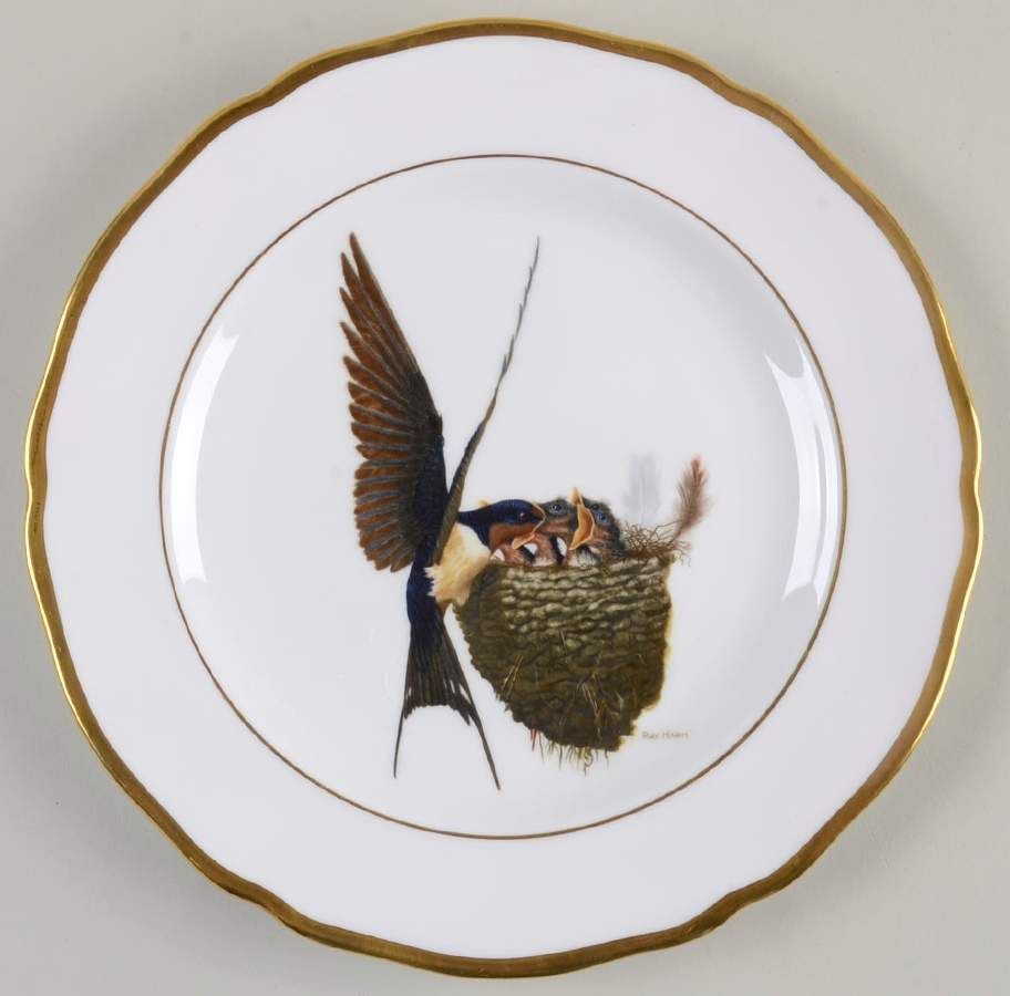 American Songbird Series Barn Swallow - No Box by Spode-1