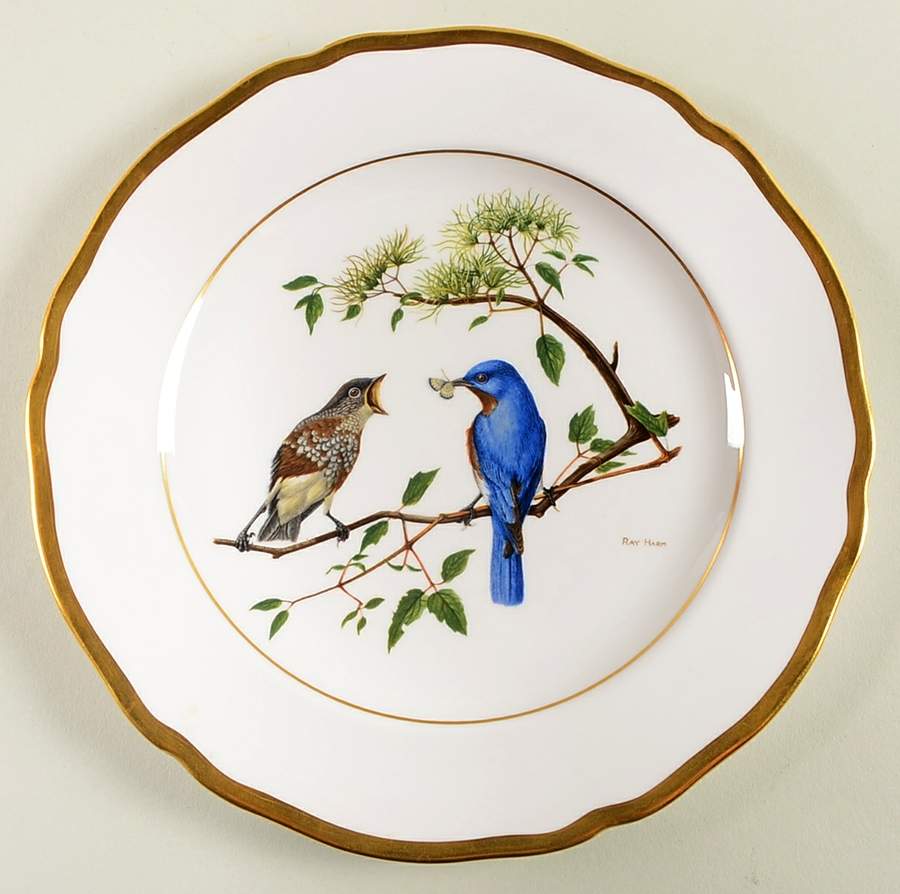 American Songbird Series Eastern Bluebird - No Box by Spode-1