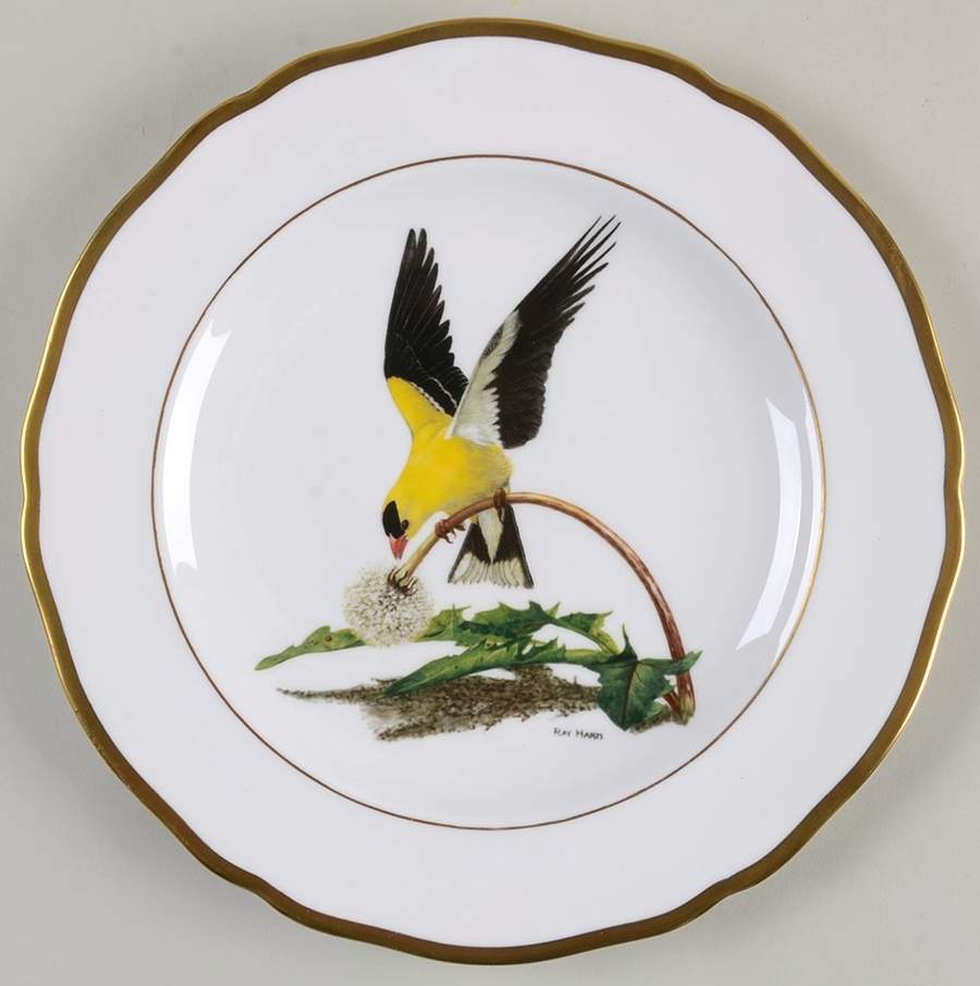 American Songbird Series American Goldfinch - No Box by Spode-1