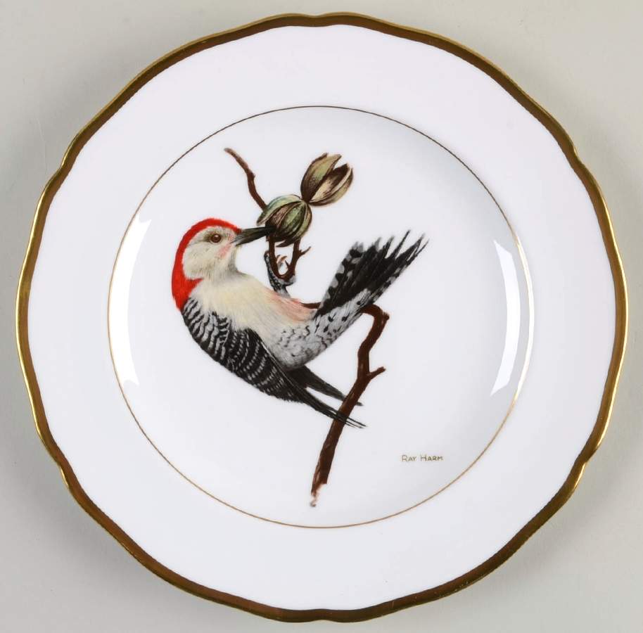American Songbird Series Red-Bellied Woodpecker - No Box by Spode-1