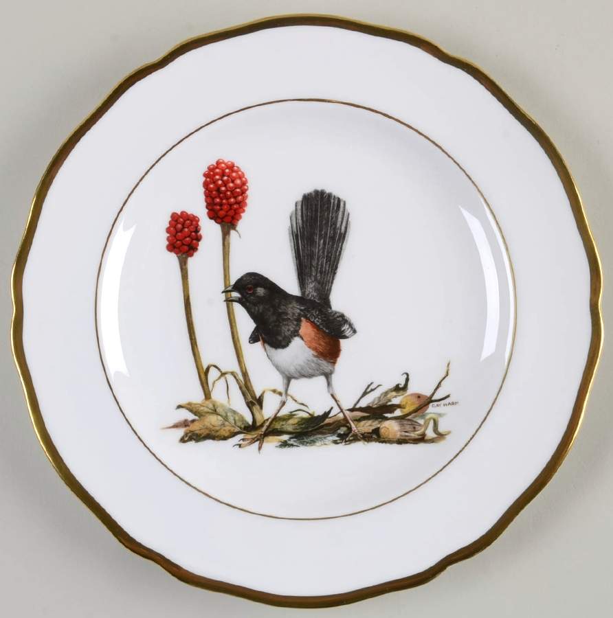 American Songbird Series Rufous-Sided Towhee - No Box by Spode-1
