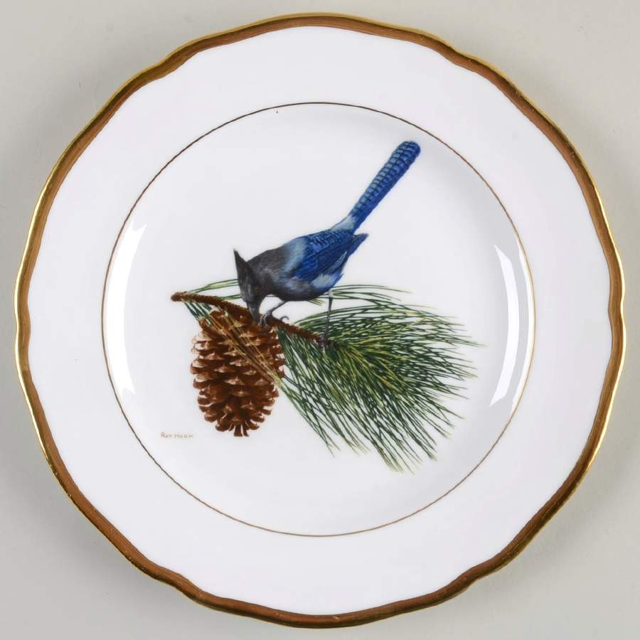 American Songbird Series Steller's Jay - No Box by Spode-1