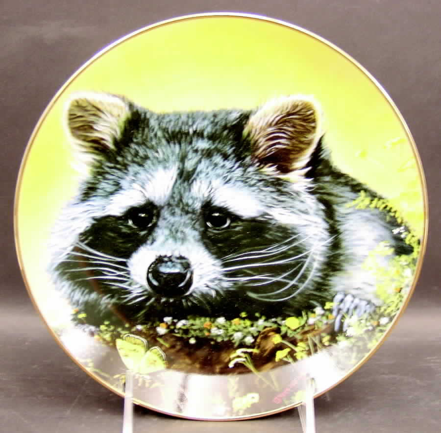 Little Wildlife Curious Raccoon - No Box by Stratford-1