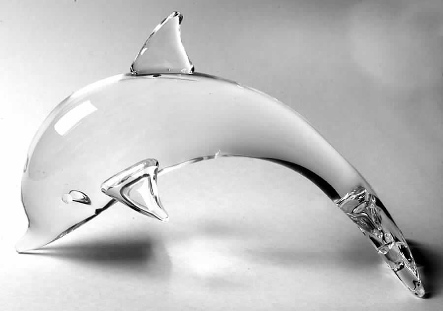 Steuben Figurines & Giftware Porpoise-Large - Boxed by Steuben-1