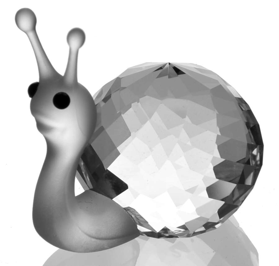 In A Summer Meadow Snail-Frosted Head - Boxed by Swarovski-1