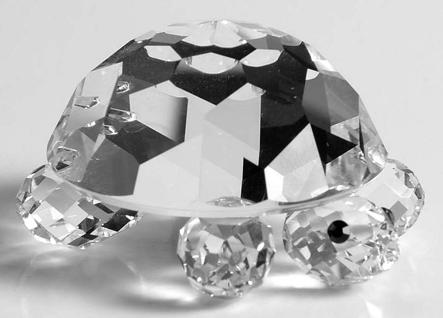 Endangered Species Turtle-Large - Boxed by Swarovski-1