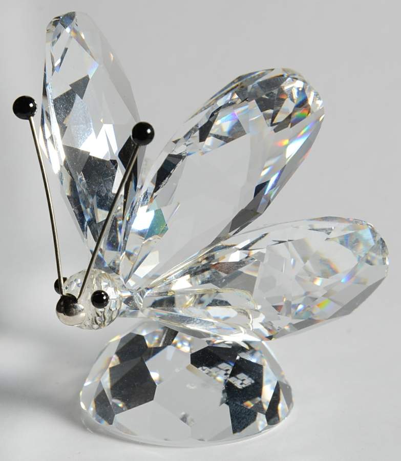 In A Summer Meadow Butterfly-Small Rhodium Nose - Boxed by Swarovski-1