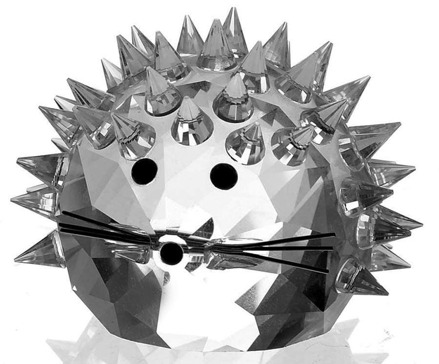 In A Summer Meadow Hedgehog-King-Metal Whiskers - Boxed by Swarovski-1