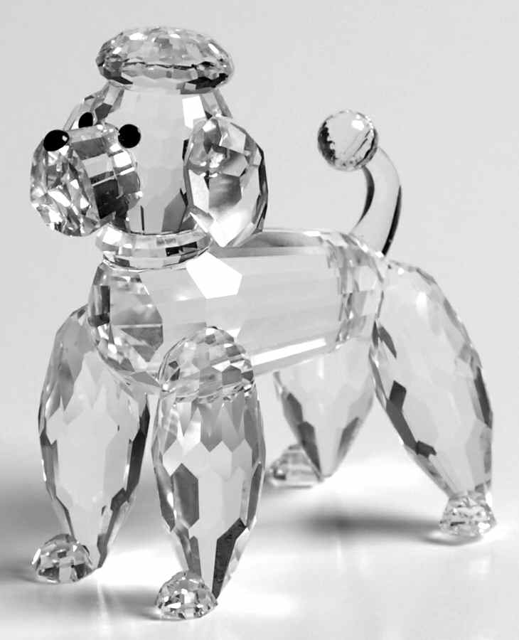 Pet's Corner Poodle-Standing-Clear Tail-Var2 - Boxed by Swarovski-1