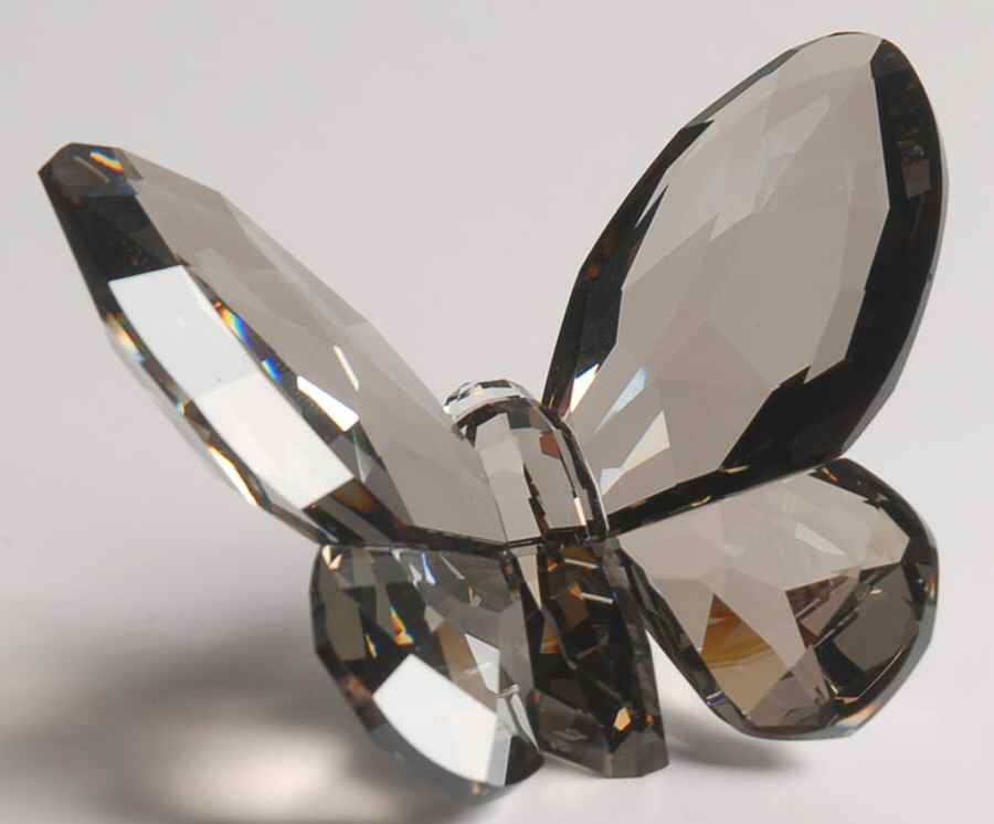 Butterflies Silvershade - Boxed by Swarovski-1
