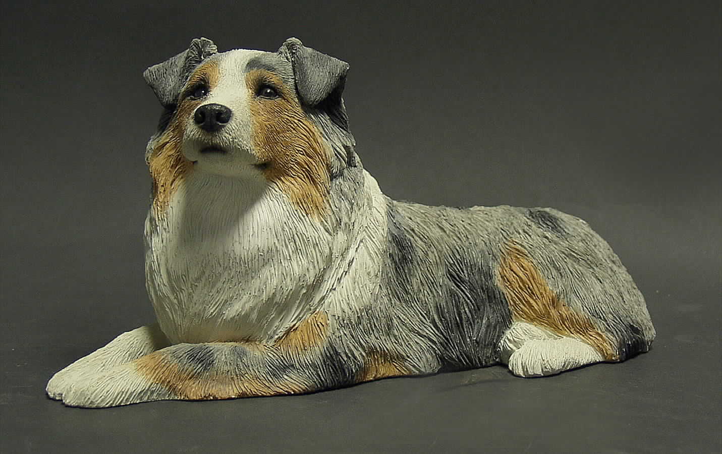 Dogs Australian Shepherd - No Box by Sandicast Sculpture-1
