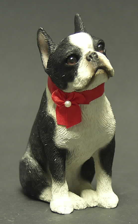 Dogs Boston Terrier-Small - Boxed by Sandicast Sculpture-1