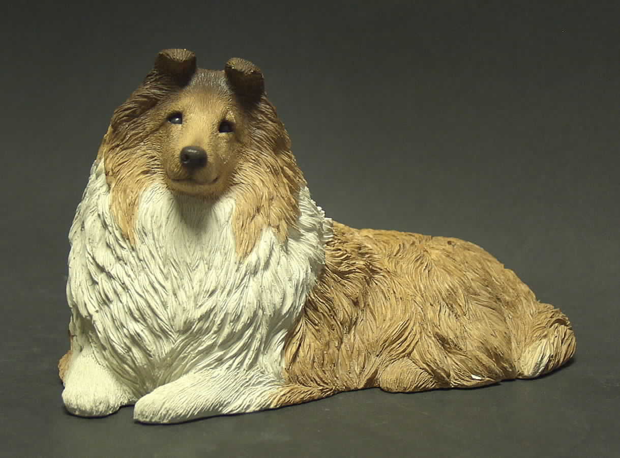 Dogs Sable Sheltie - Boxed by Sandicast Sculpture-1
