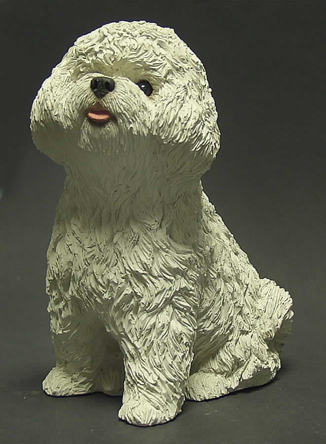Dogs Bichon Frise - Boxed by Sandicast Sculpture-1