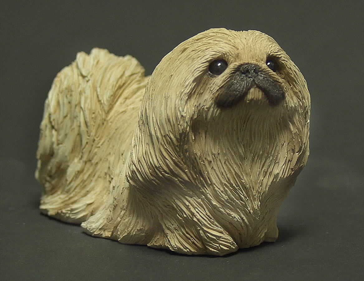 Dogs Pekingese - Cream - Boxed by Sandicast Sculpture-1