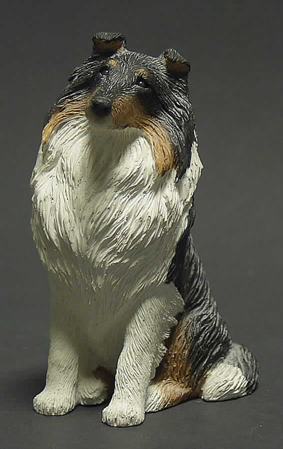 Dogs Collie-Tricolor  - No Box by Sandicast Sculpture-1