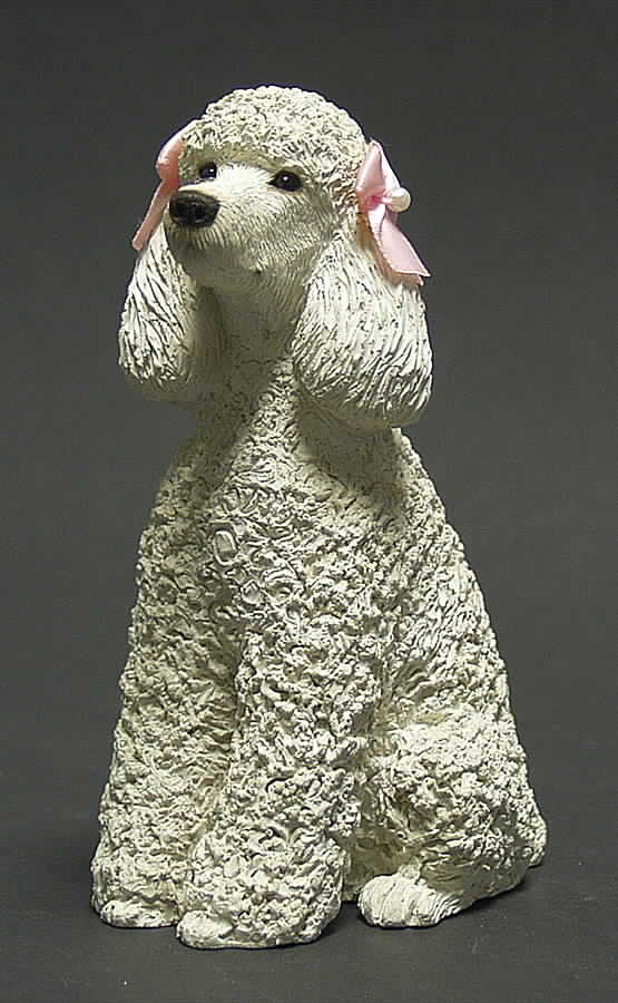 Dogs White Poodle  - Boxed by Sandicast Sculpture-1