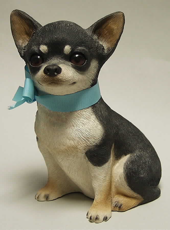 Dogs Chihuahua-Black & White - Boxed by Sandicast Sculpture-1