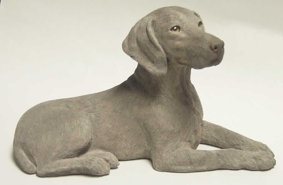Dogs Weimaraner - Boxed by Sandicast Sculpture-1