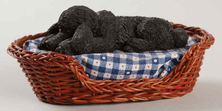 Dogs Black Poodle Snoozer W/ Bed - Boxed by Sandicast Sculpture-1