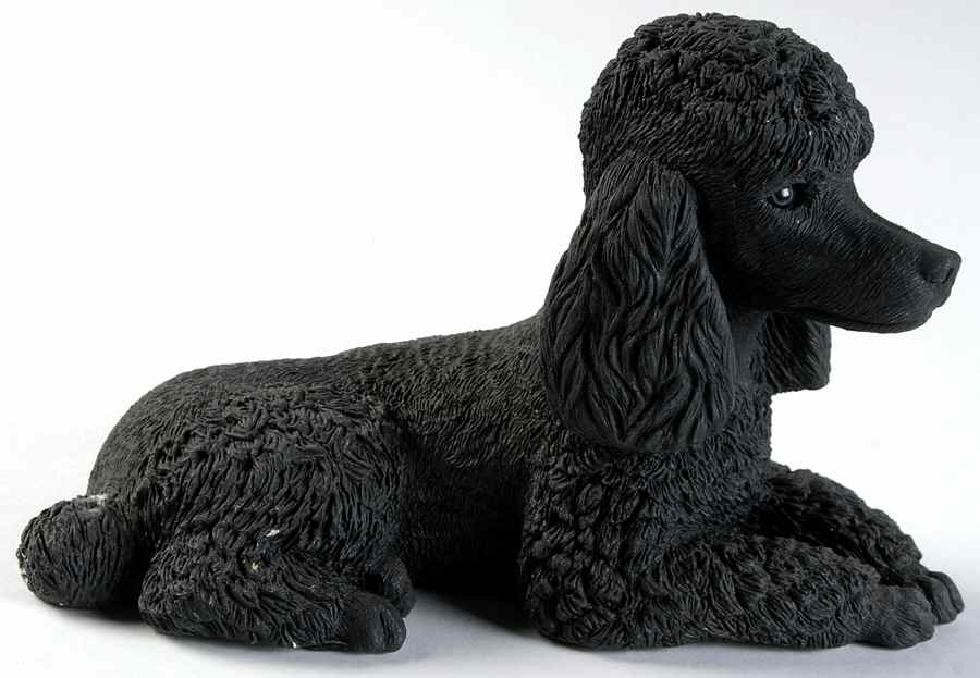 Dogs Black Poodle - No Box by Sandicast Sculpture-1