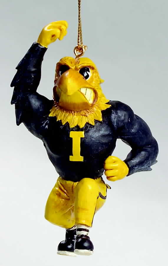 Collegiate Resin Ornaments Iowa Hawkeyes - Boxed by Slavic Treasures-1