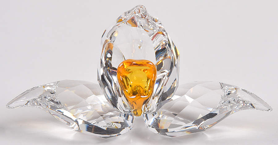 Society Member Renewal Gifts 2018-African Orchid - Boxed by Swarovski-1