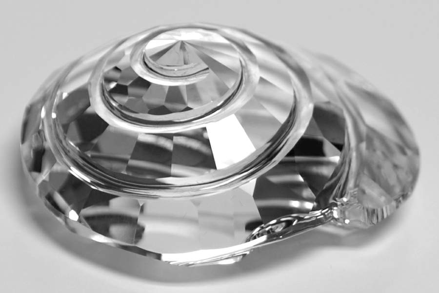 Society Member Renewal Gifts 2007-Top Shell - Boxed by Swarovski-1