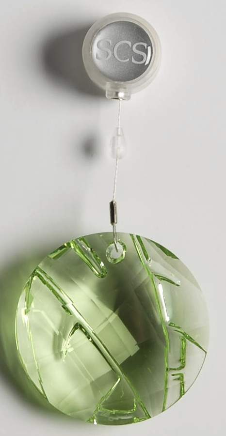 Society Member Renewal Gifts 2008-Bamboo Window Ornament - Boxed by Swarovski-1