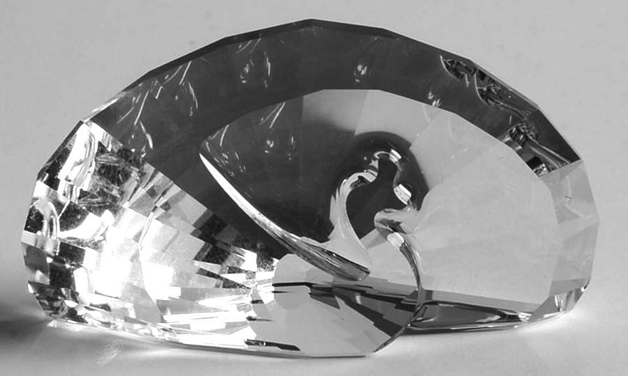 Society Member Renewal Gifts 2015-Peacock Paperweight - Boxed by Swarovski-1