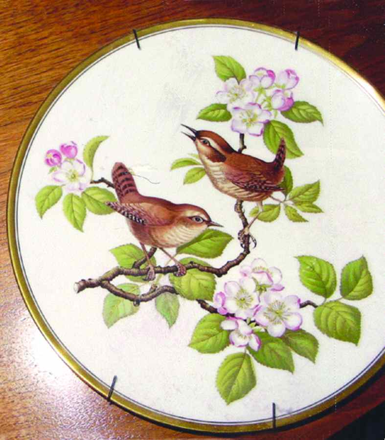 Garden Birds Wren - Boxed by Spode-1