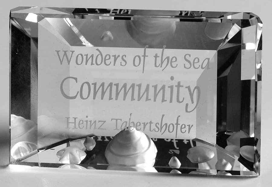 Wonders of the Sea Trilogy - SCS Community Display Plaque - Boxed by Swarovski-1