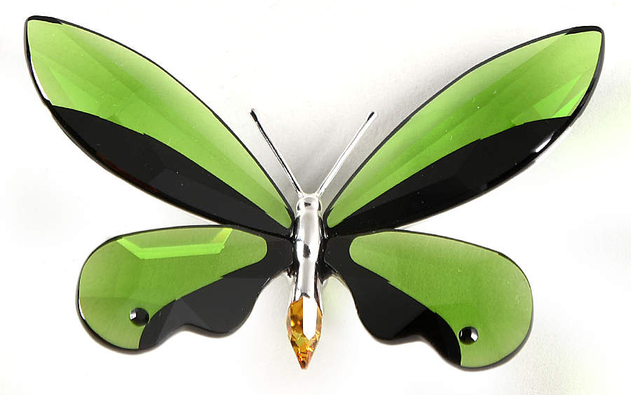 Insects & Butterflies-Crystal Paradise Anamosa-Moss Green - Boxed by Swarovski-1